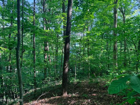 Tiny photo for 74 Norris Shores Drive, Sharps Chapel, TN 37866 (MLS # 1339357)