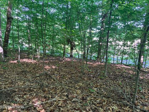 Tiny photo for 74 Norris Shores Drive, Sharps Chapel, TN 37866 (MLS # 1339357)