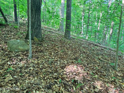 Tiny photo for 74 Norris Shores Drive, Sharps Chapel, TN 37866 (MLS # 1339357)