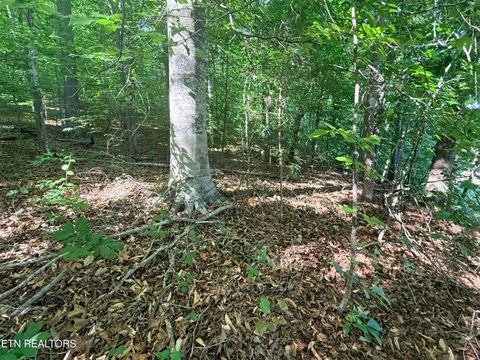 Tiny photo for 74 Norris Shores Drive, Sharps Chapel, TN 37866 (MLS # 1339357)