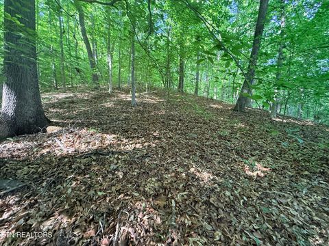 Tiny photo for 74 Norris Shores Drive, Sharps Chapel, TN 37866 (MLS # 1339357)