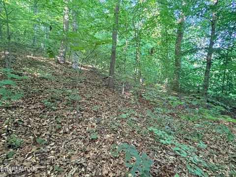 Tiny photo for 74 Norris Shores Drive, Sharps Chapel, TN 37866 (MLS # 1339357)