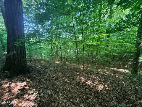 Tiny photo for 74 Norris Shores Drive, Sharps Chapel, TN 37866 (MLS # 1339357)