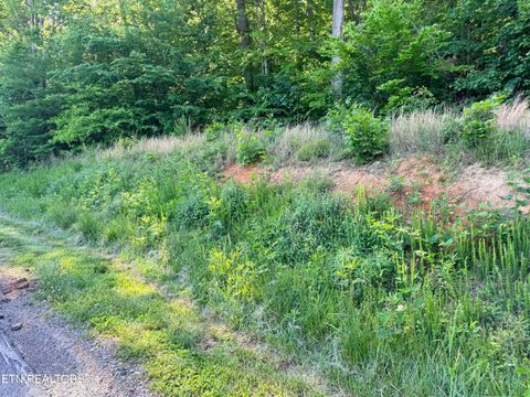 Tiny photo for 74 Norris Shores Drive, Sharps Chapel, TN 37866 (MLS # 1339357)