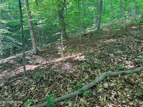 Tiny photo for 74 Norris Shores Drive, Sharps Chapel, TN 37866 (MLS # 1339357)