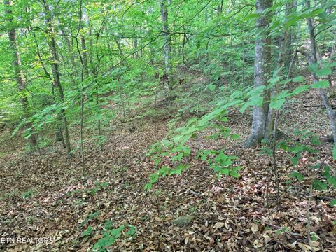 Tiny photo for 74 Norris Shores Drive, Sharps Chapel, TN 37866 (MLS # 1339357)