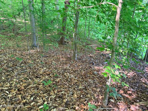Tiny photo for 74 Norris Shores Drive, Sharps Chapel, TN 37866 (MLS # 1339357)