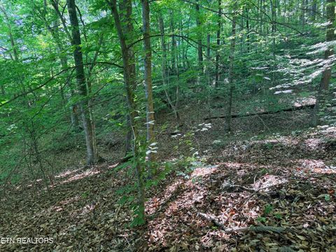 Tiny photo for 74 Norris Shores Drive, Sharps Chapel, TN 37866 (MLS # 1339357)