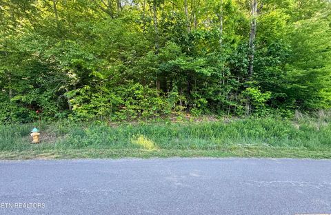 Tiny photo for 74 Norris Shores Drive, Sharps Chapel, TN 37866 (MLS # 1339357)