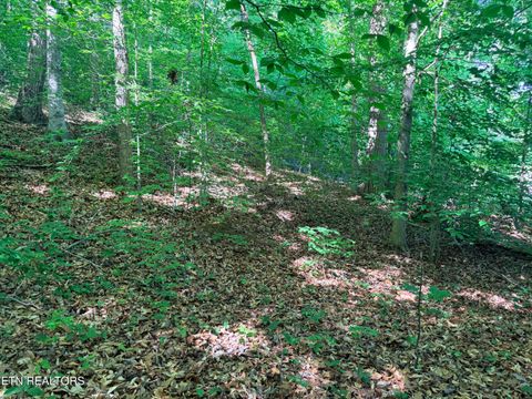 Tiny photo for 74 Norris Shores Drive, Sharps Chapel, TN 37866 (MLS # 1339357)