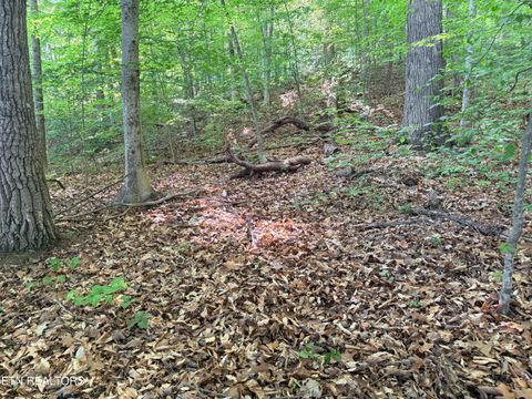 Tiny photo for 74 Norris Shores Drive, Sharps Chapel, TN 37866 (MLS # 1339357)
