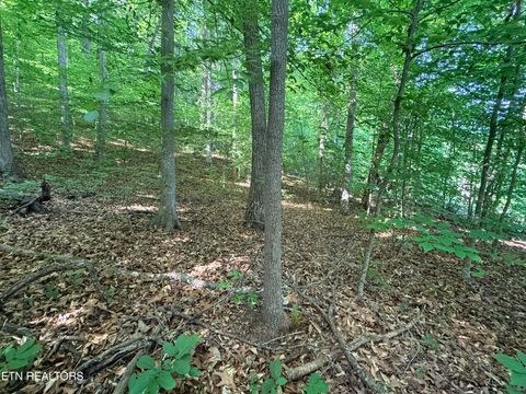 Tiny photo for 74 Norris Shores Drive, Sharps Chapel, TN 37866 (MLS # 1339357)