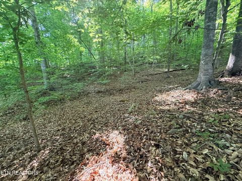 Tiny photo for 74 Norris Shores Drive, Sharps Chapel, TN 37866 (MLS # 1339357)