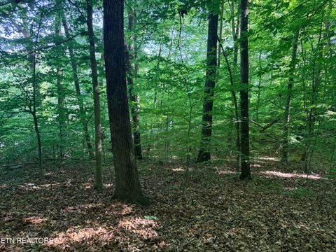 Tiny photo for 74 Norris Shores Drive, Sharps Chapel, TN 37866 (MLS # 1339357)