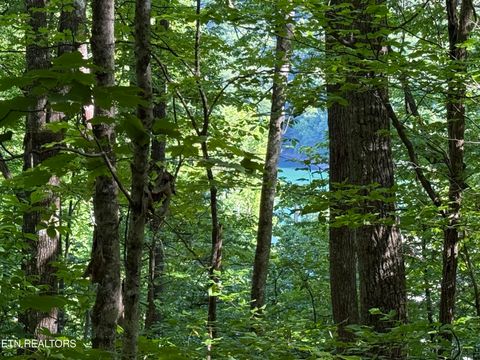 Photo of 74 Norris Shores Drive, Sharps Chapel, TN 37866 (MLS # 1339357)