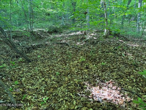 Tiny photo for 74 Norris Shores Drive, Sharps Chapel, TN 37866 (MLS # 1339357)