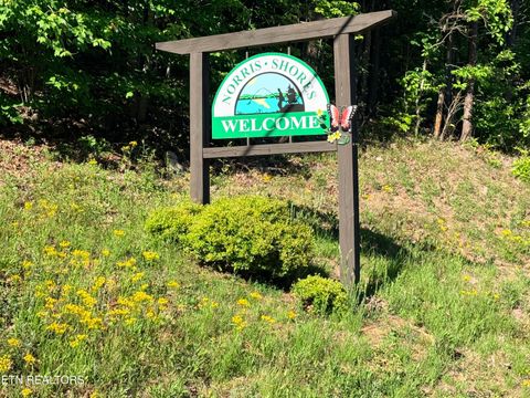 Tiny photo for 74 Norris Shores Drive, Sharps Chapel, TN 37866 (MLS # 1339357)