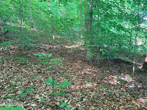 Tiny photo for 74 Norris Shores Drive, Sharps Chapel, TN 37866 (MLS # 1339357)