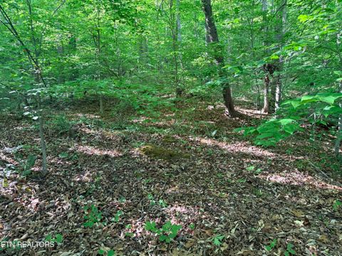 Tiny photo for 74 Norris Shores Drive, Sharps Chapel, TN 37866 (MLS # 1339357)
