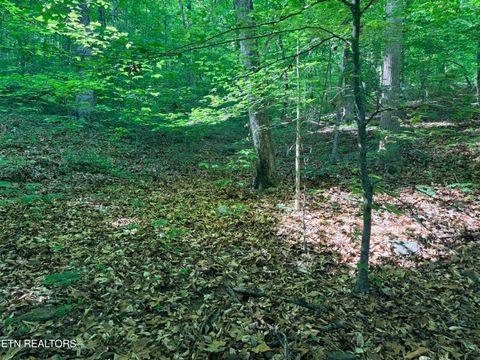 Tiny photo for 74 Norris Shores Drive, Sharps Chapel, TN 37866 (MLS # 1339357)