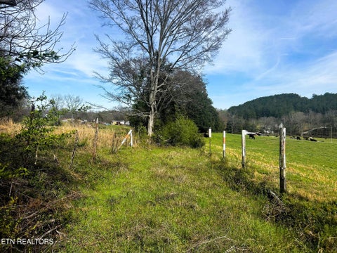 Tiny photo for 7 SW Owl Hollow, McDonald, TN 37353 (MLS # 1359529)
