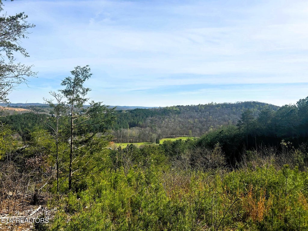 Photo of 7 SW Owl Hollow, McDonald, TN 37353 (MLS # 1359529)