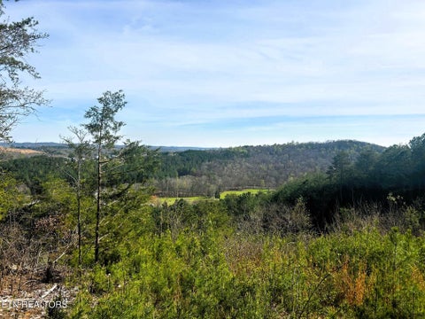 Photo of 7 SW Owl Hollow, McDonald, TN 37353 (MLS # 1359529)
