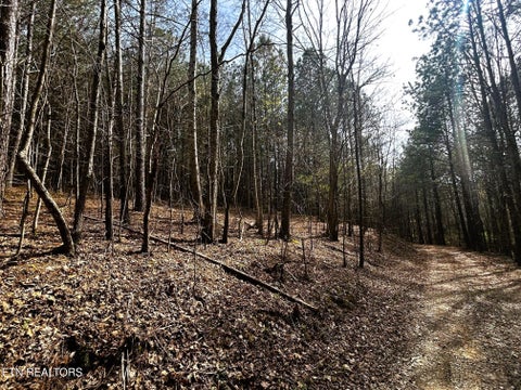 Tiny photo for 7 SW Owl Hollow, McDonald, TN 37353 (MLS # 1359529)