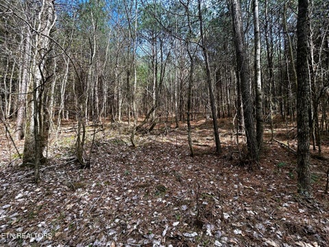 Tiny photo for 7 SW Owl Hollow, McDonald, TN 37353 (MLS # 1359529)