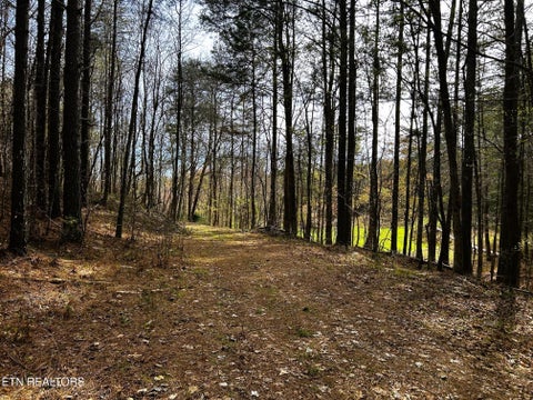 Tiny photo for 7 SW Owl Hollow, McDonald, TN 37353 (MLS # 1359529)