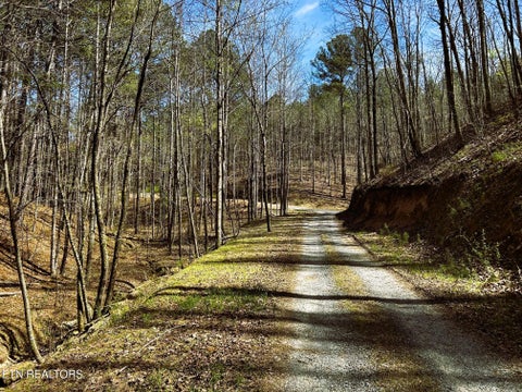 Tiny photo for 7 SW Owl Hollow, McDonald, TN 37353 (MLS # 1359529)