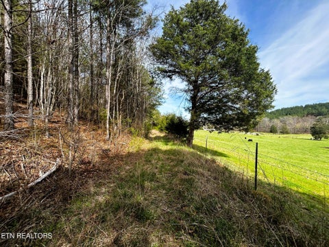 Tiny photo for 7 SW Owl Hollow, McDonald, TN 37353 (MLS # 1359529)