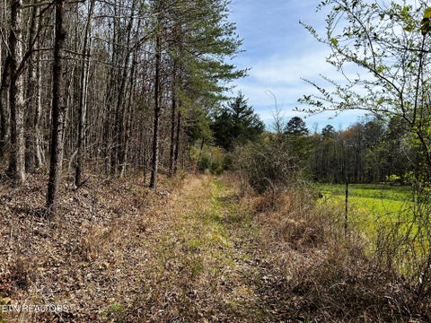 Tiny photo for 7 SW Owl Hollow, McDonald, TN 37353 (MLS # 1359529)