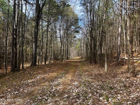 Tiny photo for 7 SW Owl Hollow, McDonald, TN 37353 (MLS # 1359529)