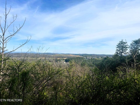 Tiny photo for 7 SW Owl Hollow, McDonald, TN 37353 (MLS # 1359529)