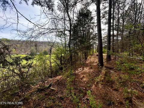 Tiny photo for 7 SW Owl Hollow, McDonald, TN 37353 (MLS # 1359529)