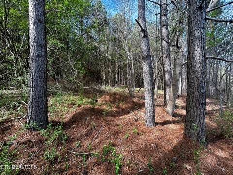 Tiny photo for 7 SW Owl Hollow, McDonald, TN 37353 (MLS # 1359529)