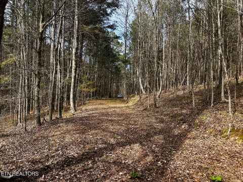 Tiny photo for 7 SW Owl Hollow, McDonald, TN 37353 (MLS # 1359529)