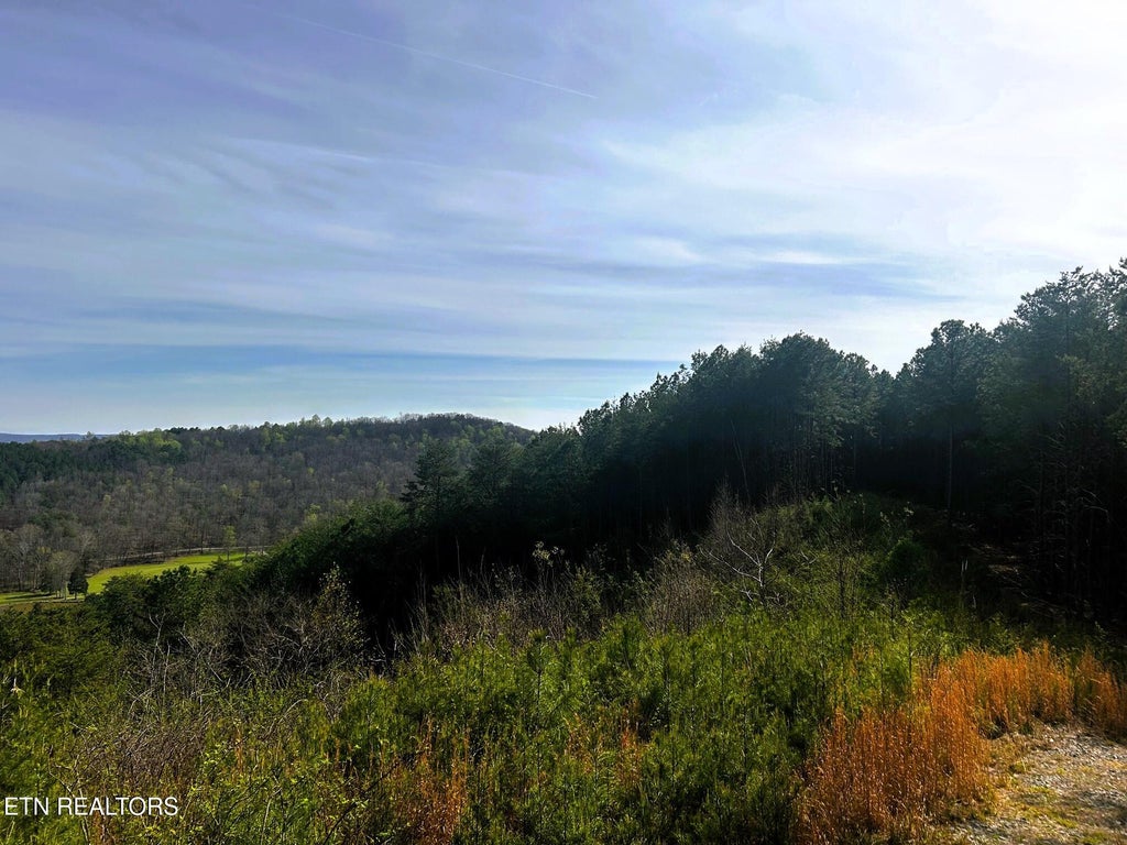 Photo of 7 SW Owl Hollow, McDonald, TN 37353 (MLS # 1359529)