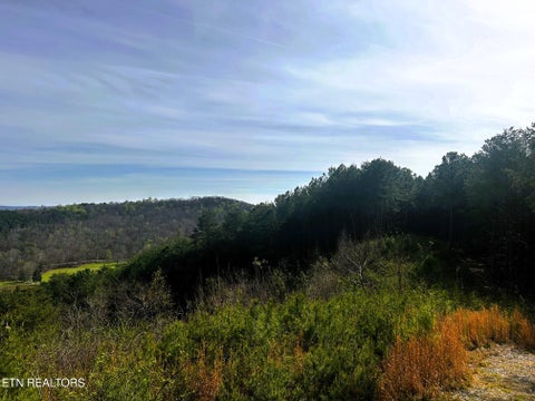 Tiny photo for 7 SW Owl Hollow, McDonald, TN 37353 (MLS # 1359529)