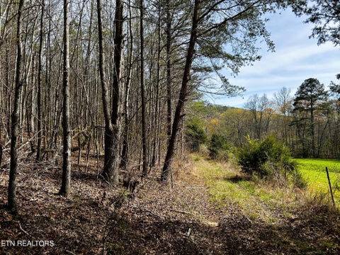 Tiny photo for 7 SW Owl Hollow, McDonald, TN 37353 (MLS # 1359529)
