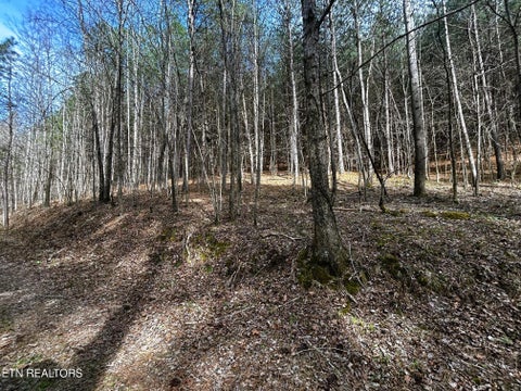 Tiny photo for 7 SW Owl Hollow, McDonald, TN 37353 (MLS # 1359529)