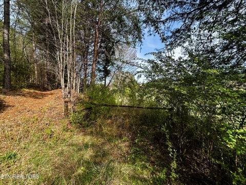Tiny photo for 7 SW Owl Hollow, McDonald, TN 37353 (MLS # 1359529)