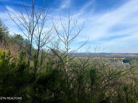 Tiny photo for 7 SW Owl Hollow, McDonald, TN 37353 (MLS # 1359529)