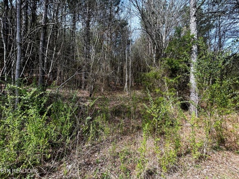 Tiny photo for 7 SW Owl Hollow, McDonald, TN 37353 (MLS # 1359529)