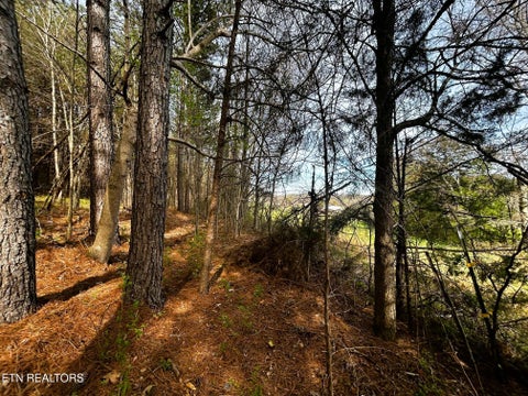 Tiny photo for 7 SW Owl Hollow, McDonald, TN 37353 (MLS # 1359529)