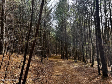 Tiny photo for 7 SW Owl Hollow, McDonald, TN 37353 (MLS # 1359529)