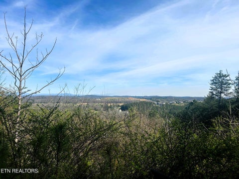 Tiny photo for 7 SW Owl Hollow, McDonald, TN 37353 (MLS # 1359529)