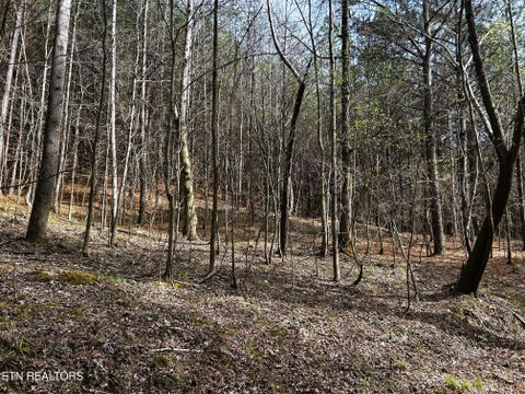 Tiny photo for 7 SW Owl Hollow, McDonald, TN 37353 (MLS # 1359529)