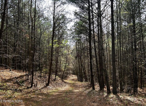 Tiny photo for 7 SW Owl Hollow, McDonald, TN 37353 (MLS # 1359529)